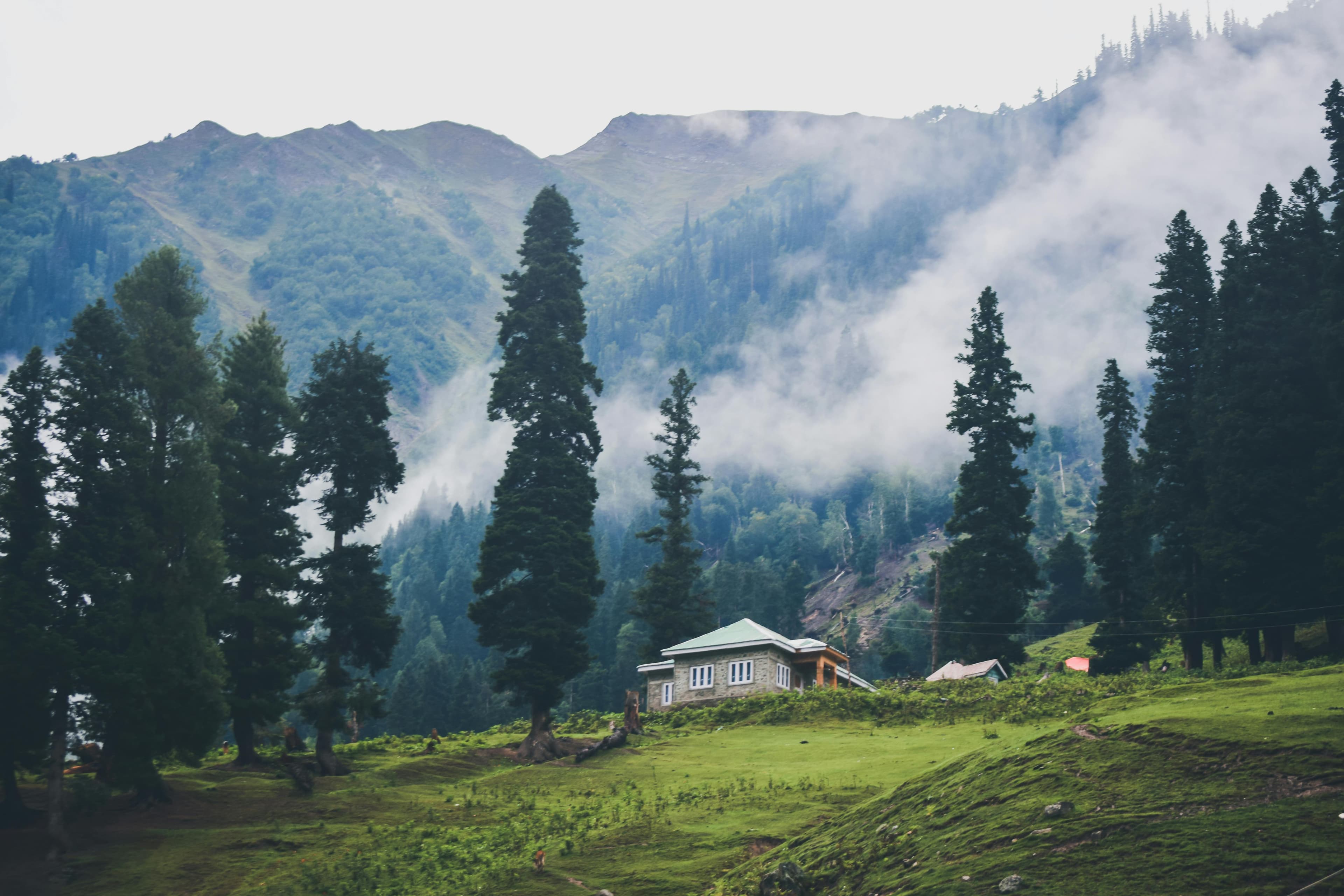 Kashmir Paradise